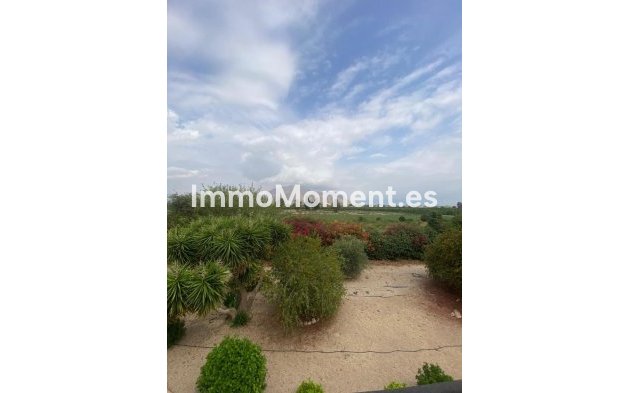 Bestaande woning - Landhuis - Orihuela - Orihuela Centro