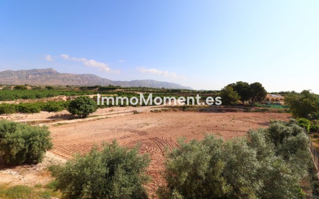 Resale - Detached villa - Albatera - Albatera Centro