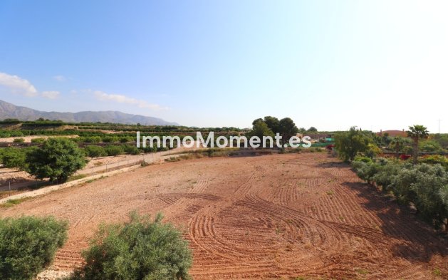 Resale - Detached villa - Albatera - Albatera Centro