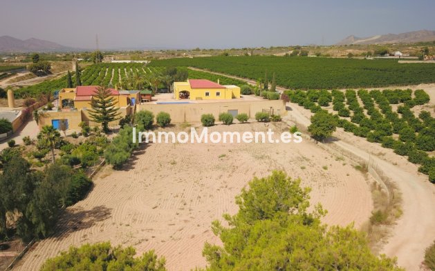 Resale - Detached villa - Albatera - Albatera Centro