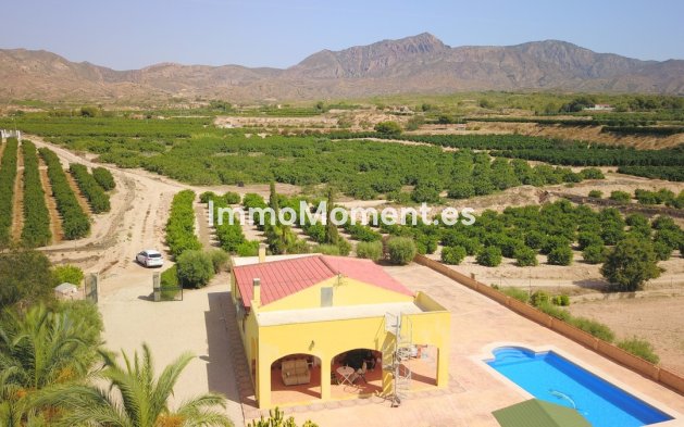 Resale - Detached villa - Albatera - Albatera Centro