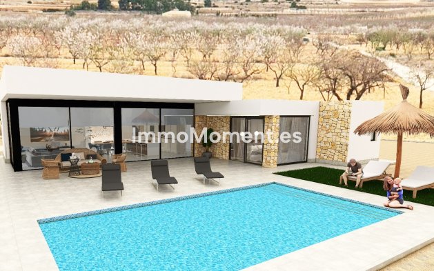 New Build - Detached villa - Pinoso
