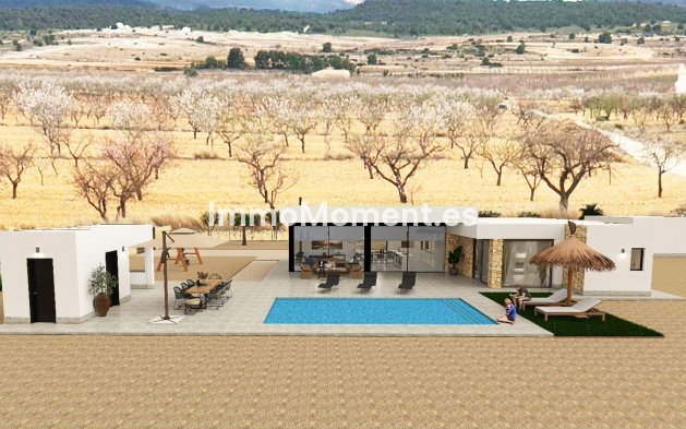 New Build - Detached villa - Pinoso