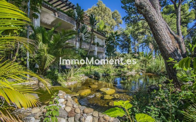 Resale - Apartment - Marbella - Los Monteros