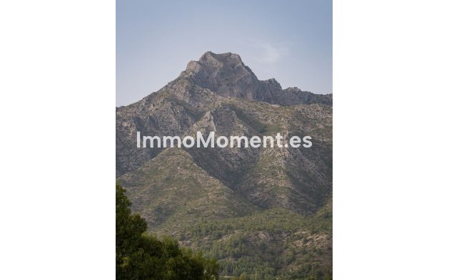 Reventa - Villa independiente - Marbella - Marbella Centro