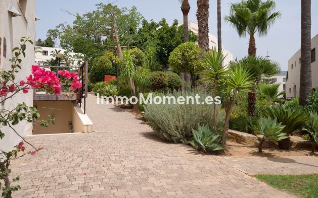 Resale - Apartment - Marbella - Altos de los Monteros