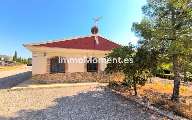 Bestaande woning - Vrijstaande villa - Jumilla - Jumilla Centro
