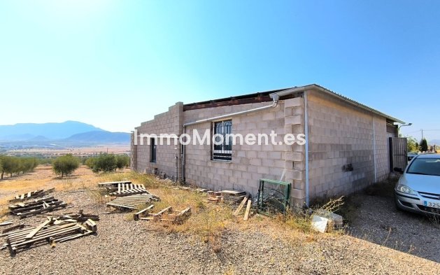 Bestaande woning - Vrijstaande villa - Jumilla - Jumilla Centro