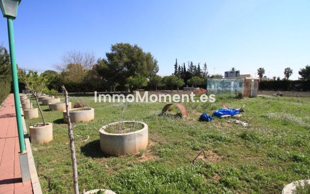 Wiederverkauf - Freistehende Villa - Orihuela - Orihuela Costa