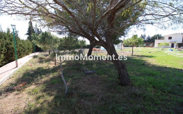 Wiederverkauf - Freistehende Villa - Orihuela - Orihuela Costa