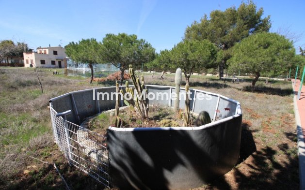 Wiederverkauf - Freistehende Villa - Orihuela - Orihuela Costa
