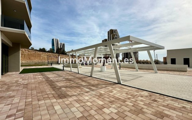 Reventa - Apartamento - Benidorm - Benidorm Centro