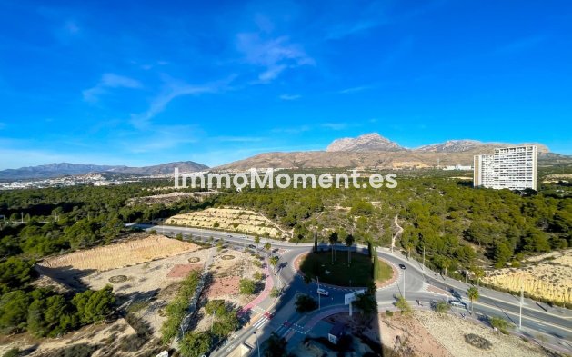 Reventa - Apartamento - Benidorm - Benidorm Centro