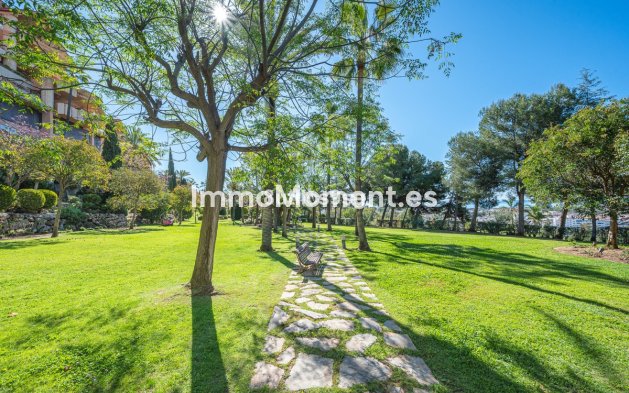 Resale - Apartment - Marbella - Nueva Andalucía