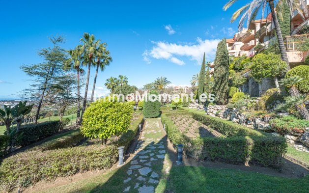 Resale - Apartment - Marbella - Nueva Andalucía