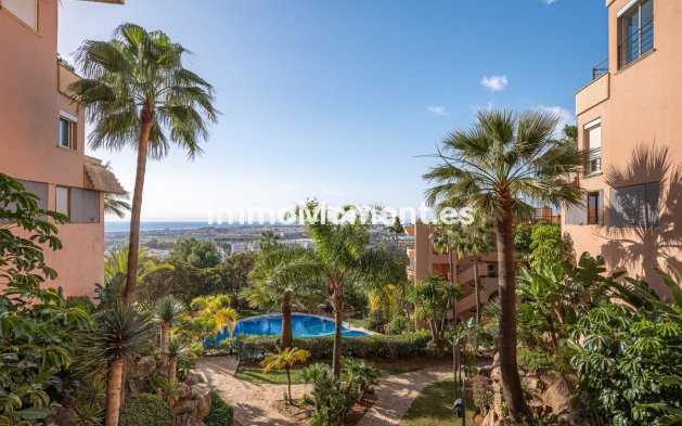 Resale - Apartment - Marbella - Nueva Andalucía